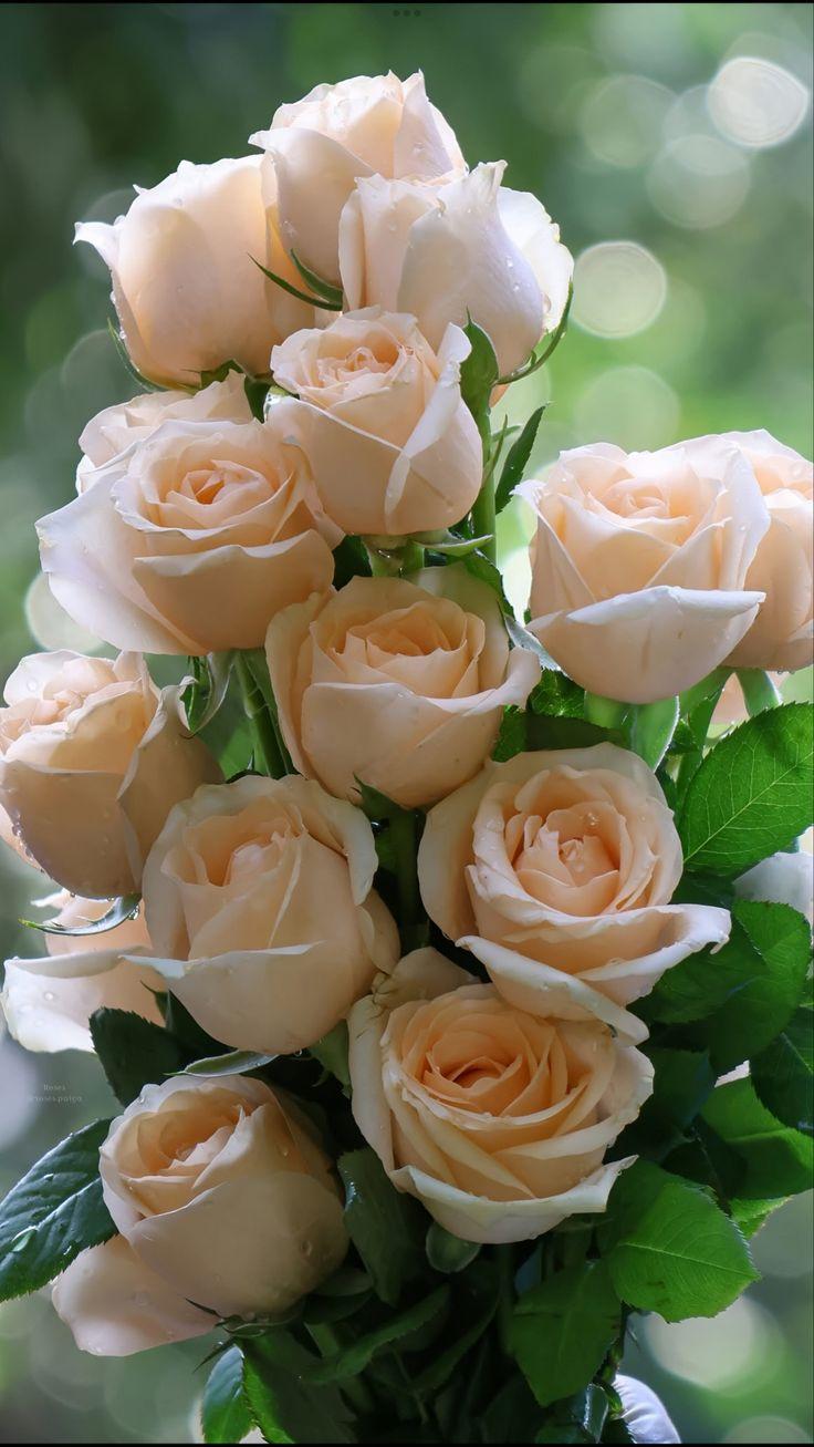 Whispers of Dawn Pastel Bouquet